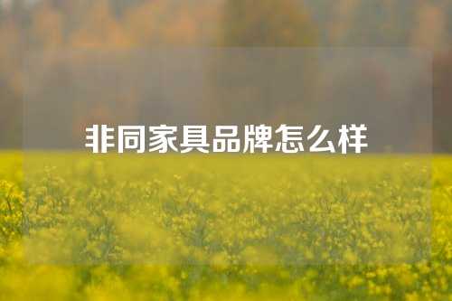 非同家具品牌怎么样