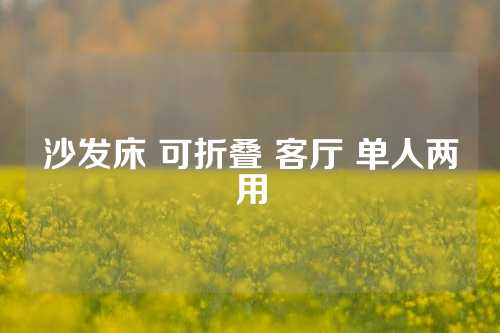 沙发床 可折叠 客厅 单人两用