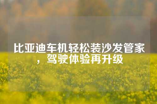 比亚迪车机轻松装沙发管家，驾驶体验再升级
