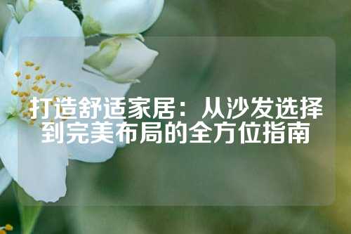 打造舒适家居：从沙发选择到完美布局的全方位指南