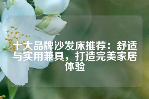 十大品牌沙发床推荐：舒适与实用兼具，打造完美家居体验