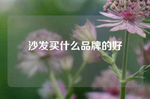 沙发买什么品牌的好