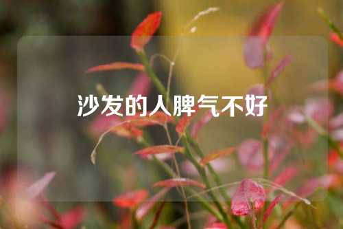 沙发的人脾气不好