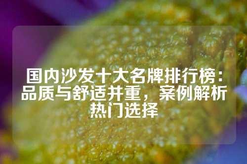 国内沙发十大名牌排行榜：品质与舒适并重，案例解析热门选择