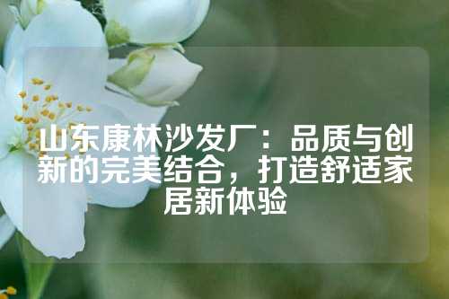 山东康林沙发厂：品质与创新的完美结合，打造舒适家居新体验