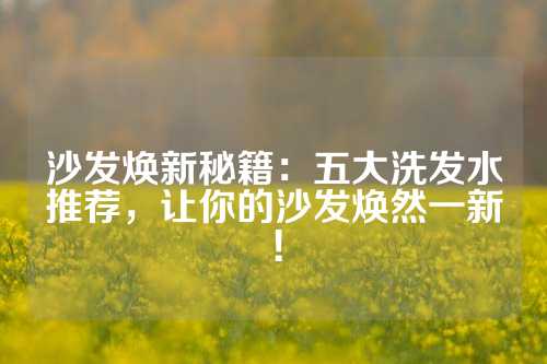 沙发焕新秘籍：五大洗发水推荐，让你的沙发焕然一新！