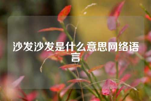 沙发沙发是什么意思网络语言