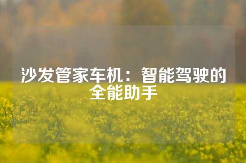 沙发管家车机：智能驾驶的全能助手