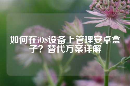 如何在iOS设备上管理安卓盒子？替代方案详解