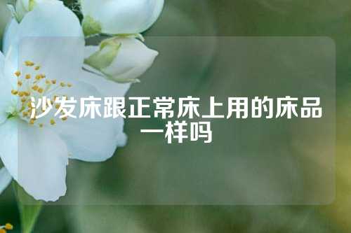 沙发床跟正常床上用的床品一样吗