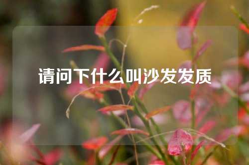 请问下什么叫沙发发质