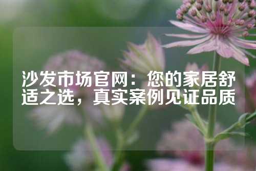 沙发市场官网：您的家居舒适之选，真实案例见证品质