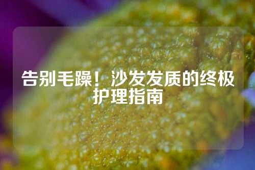 告别毛躁！沙发发质的终极护理指南