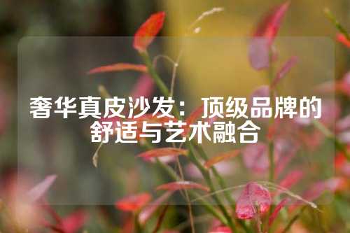 奢华真皮沙发：顶级品牌的舒适与艺术融合