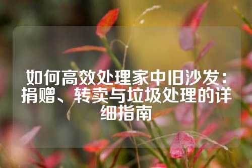 如何高效处理家中旧沙发：捐赠、转卖与垃圾处理的详细指南