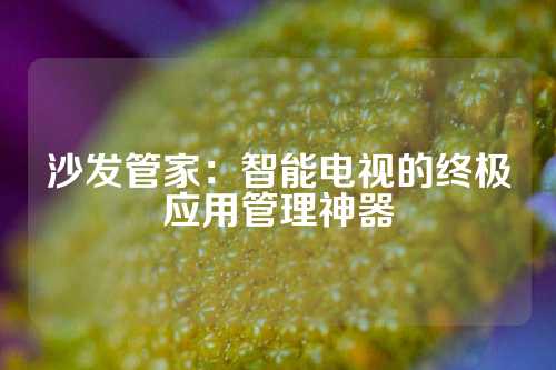 沙发管家：智能电视的终极应用管理神器