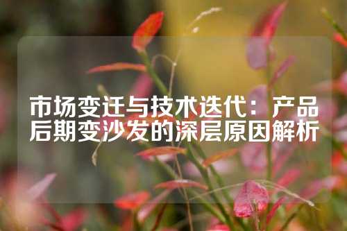 市场变迁与技术迭代：产品后期变沙发的深层原因解析