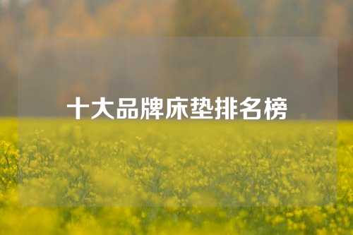 十大品牌床垫排名榜