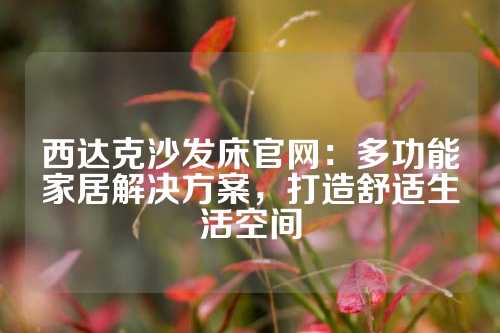 西达克沙发床官网：多功能家居解决方案，打造舒适生活空间