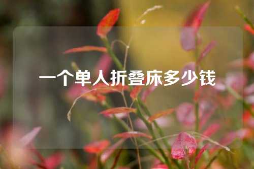 一个单人折叠床多少钱