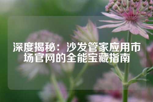 深度揭秘：沙发管家应用市场官网的全能宝藏指南