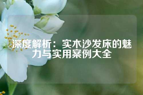 深度解析：实木沙发床的魅力与实用案例大全