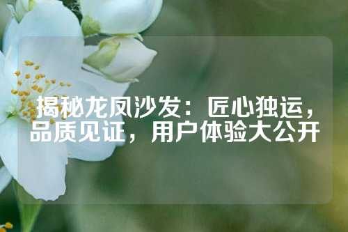 揭秘龙凤沙发：匠心独运，品质见证，用户体验大公开