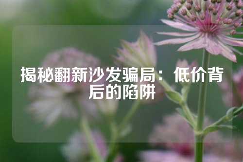 揭秘翻新沙发骗局：低价背后的陷阱