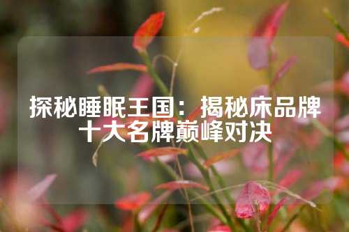 探秘睡眠王国：揭秘床品牌十大名牌巅峰对决