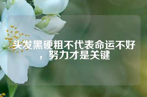 头发黑硬粗不代表命运不好，努力才是关键