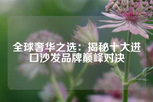 全球奢华之选：揭秘十大进口沙发品牌巅峰对决