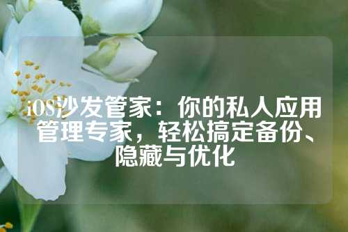 iOS沙发管家：你的私人应用管理专家，轻松搞定备份、隐藏与优化