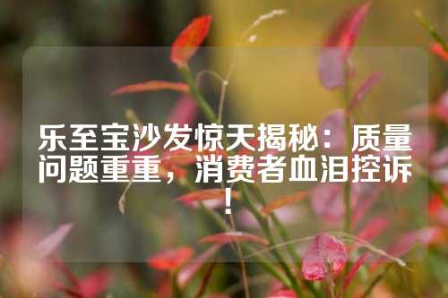 乐至宝沙发惊天揭秘：质量问题重重，消费者血泪控诉！
