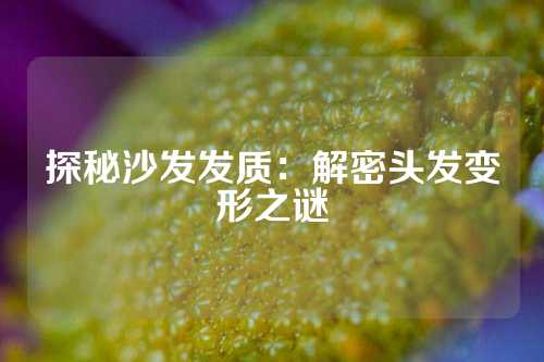 探秘沙发发质：解密头发变形之谜