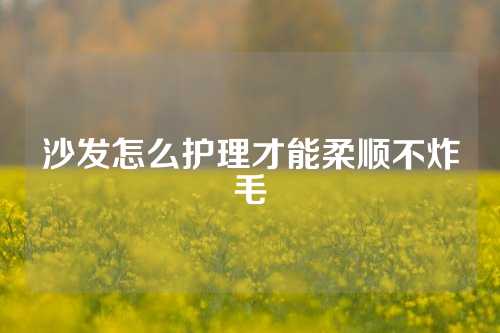沙发怎么护理才能柔顺不炸毛