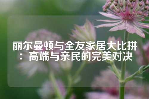 丽尔曼顿与全友家居大比拼：高端与亲民的完美对决