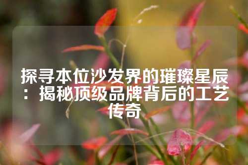探寻本位沙发界的璀璨星辰：揭秘顶级品牌背后的工艺传奇