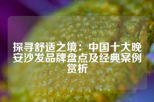 探寻舒适之境：中国十大晚安沙发品牌盘点及经典案例赏析