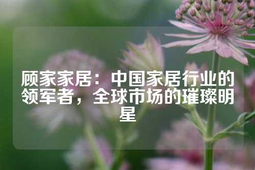 顾家家居：中国家居行业的领军者，全球市场的璀璨明星
