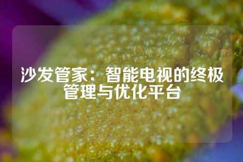 沙发管家：智能电视的终极管理与优化平台
