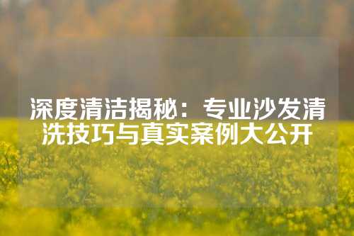 深度清洁揭秘：专业沙发清洗技巧与真实案例大公开