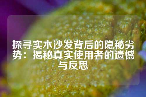 探寻实木沙发背后的隐秘劣势：揭秘真实使用者的遗憾与反思