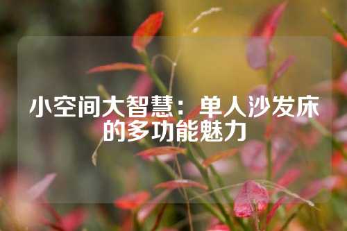 小空间大智慧：单人沙发床的多功能魅力