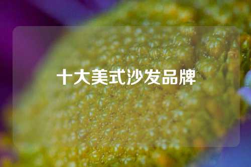 十大美式沙发品牌
