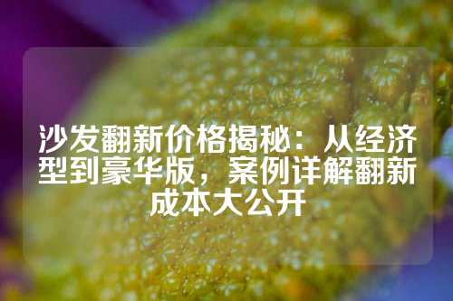 沙发翻新价格揭秘：从经济型到豪华版，案例详解翻新成本大公开