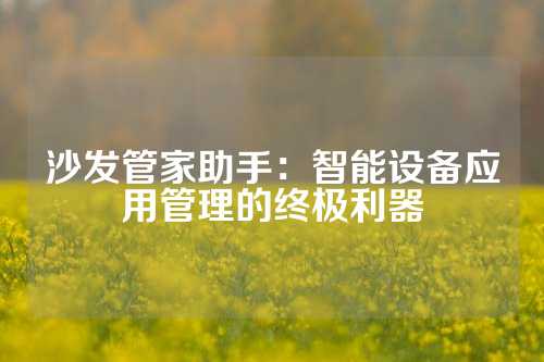 沙发管家助手：智能设备应用管理的终极利器