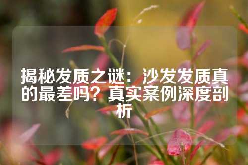 揭秘发质之谜：沙发发质真的最差吗？真实案例深度剖析