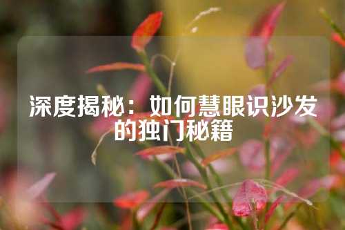 深度揭秘：如何慧眼识沙发的独门秘籍