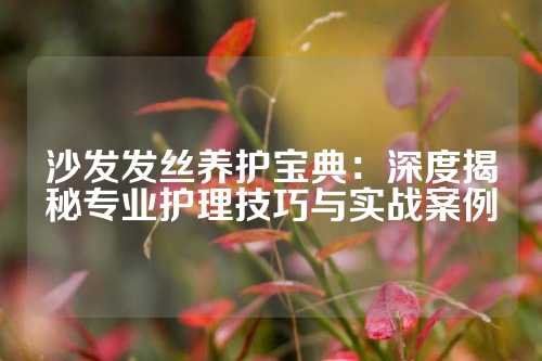 沙发发丝养护宝典：深度揭秘专业护理技巧与实战案例