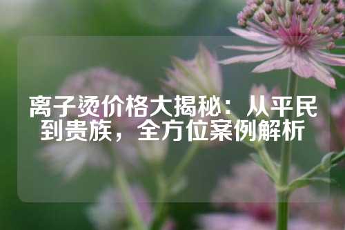 离子烫价格大揭秘：从平民到贵族，全方位案例解析